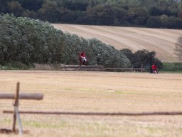 IMG_8424_web
